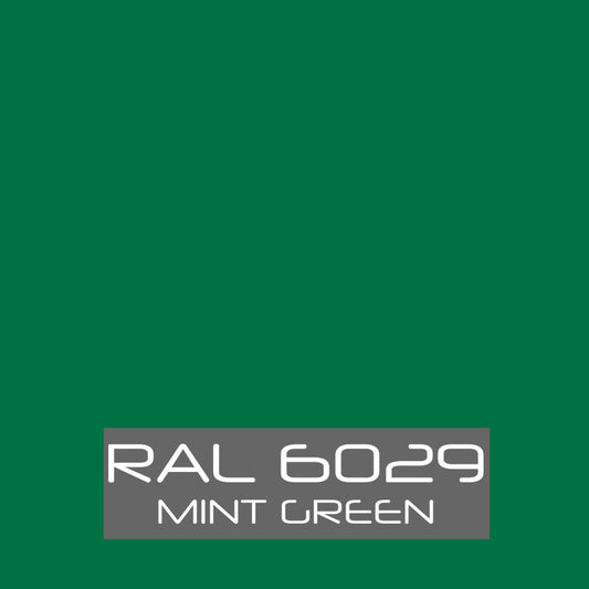 RAL 6029 Mint Green Powder Coating Paint
